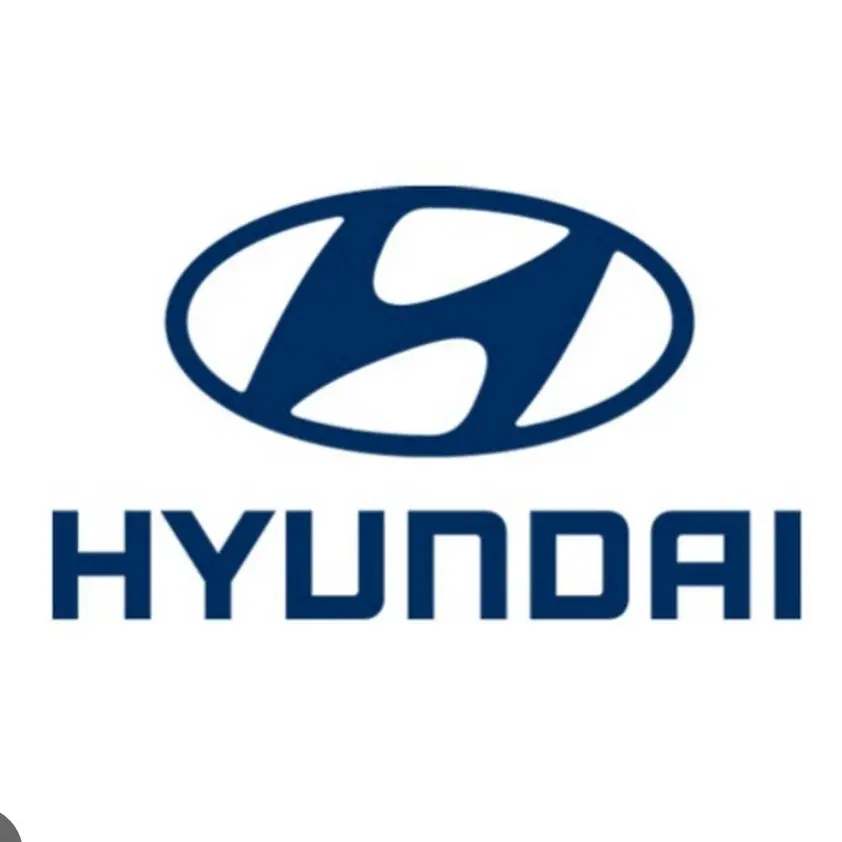 KR_HUMAN의 현대자동차