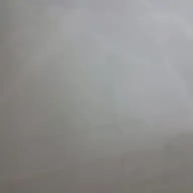 Profile image of 고고페가