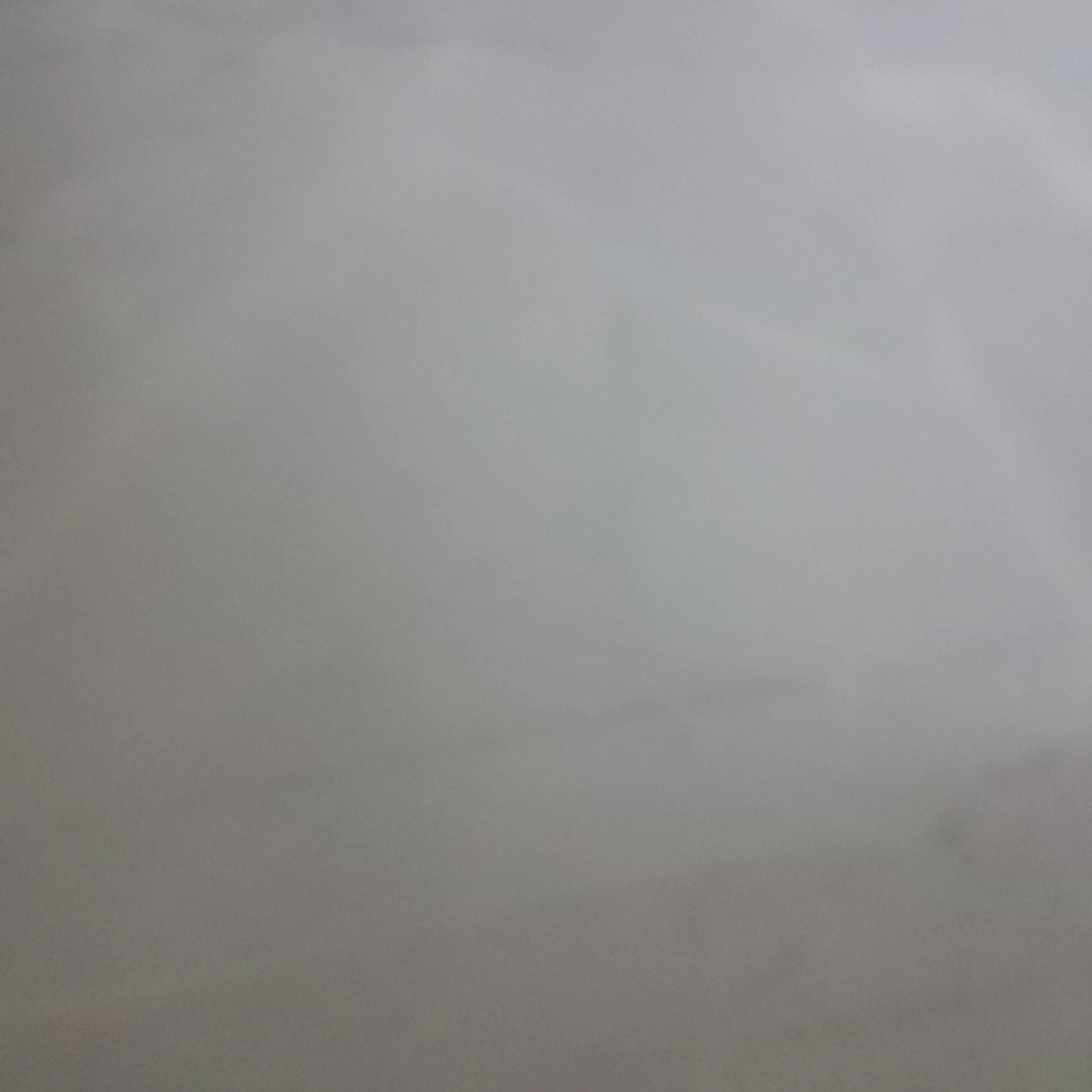 고고페가