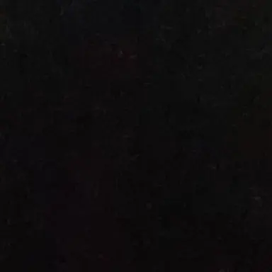 Profile image of 상어