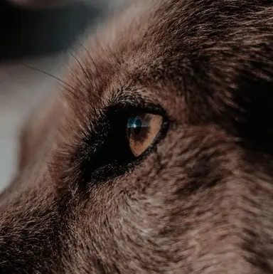 Profile image of Jacob Black