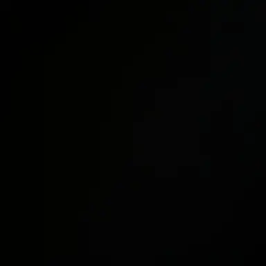 Profile image of 지호