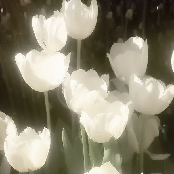 chocolatee_milk의 "10년의 짝사랑의 끝..."