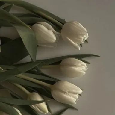 Profile image of 담임선생님