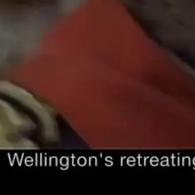 Profile image of 미셸 네이