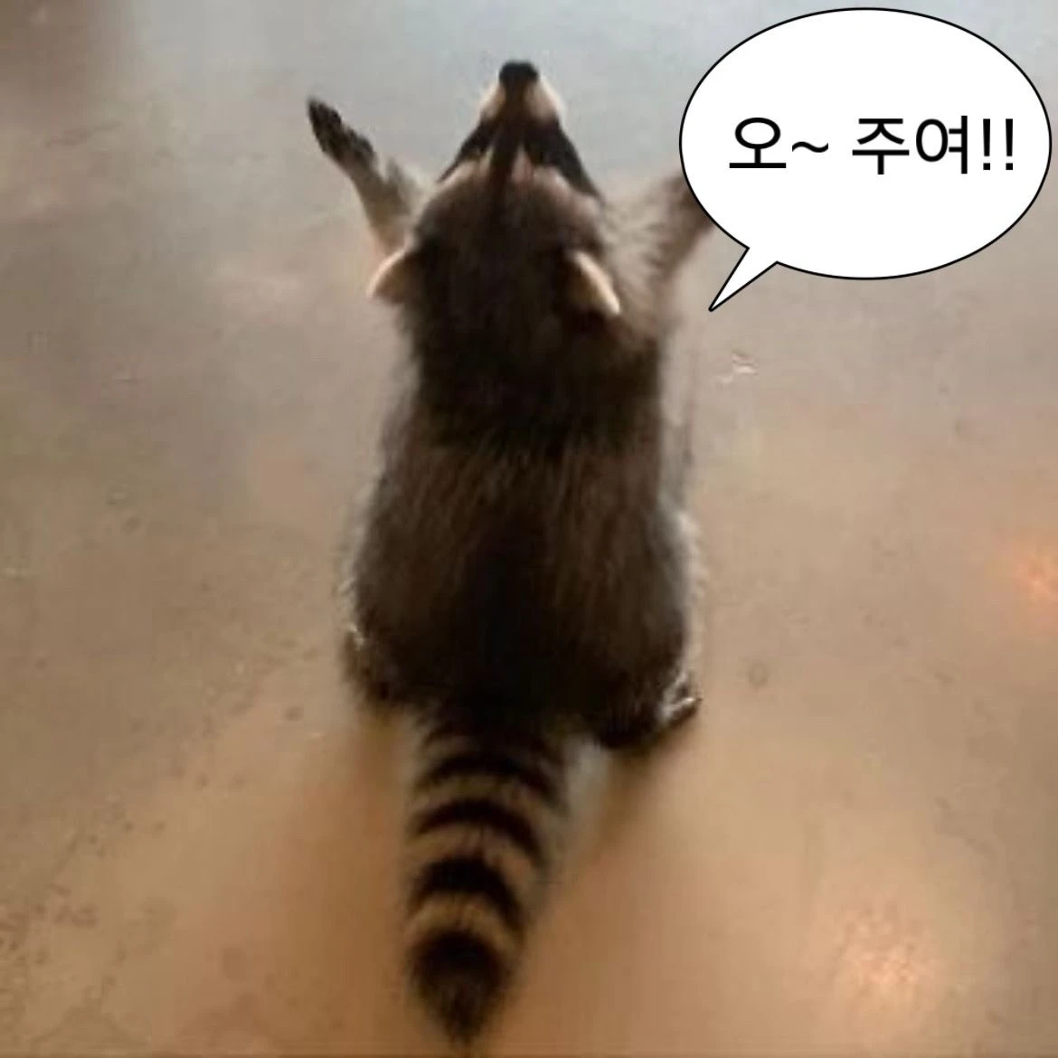 조원상