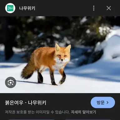 Profile image of 여우