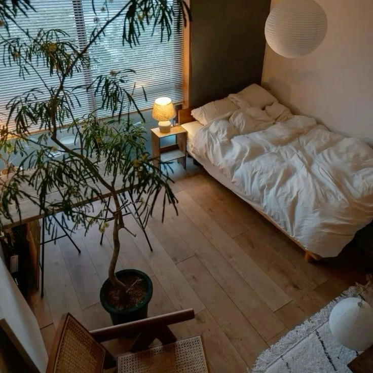 집