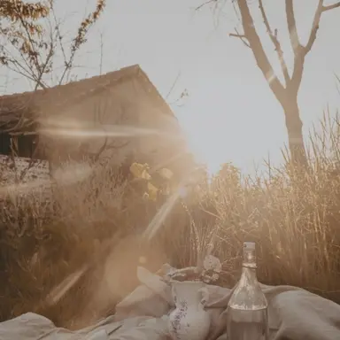 Profile image of 박덕개