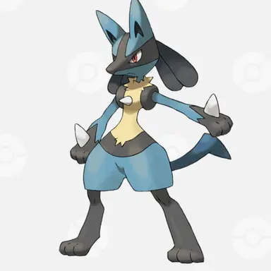 Profile image of ルカリオ