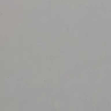 Profile image of トラプド