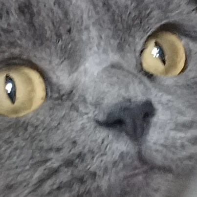 뿐드