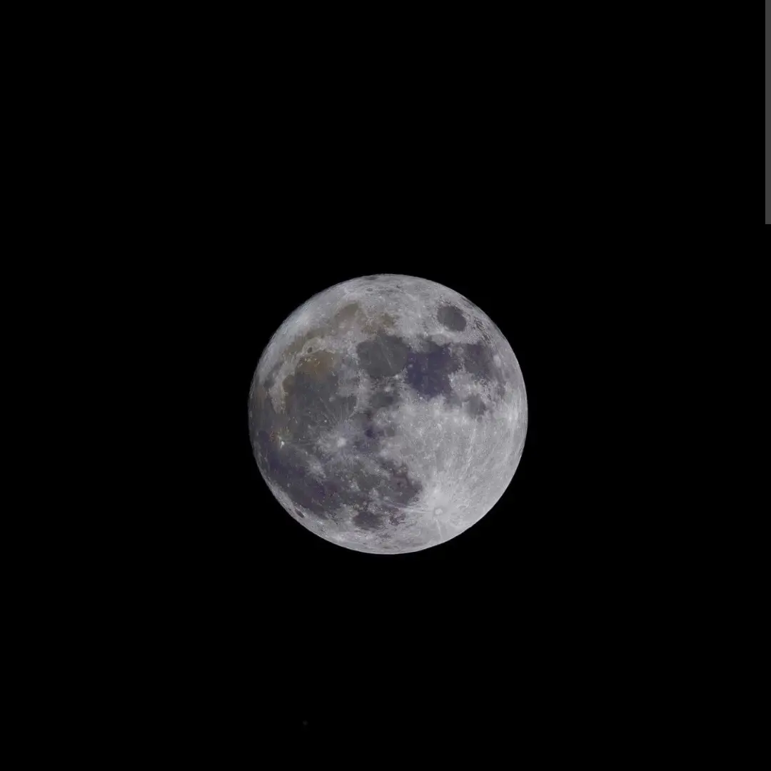 xgjzgjgkx의 달(moon)