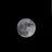 달(moon)