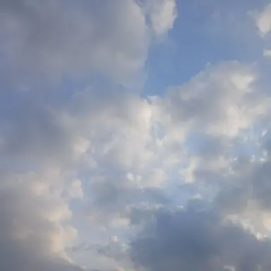 Profile image of 토가 히미코