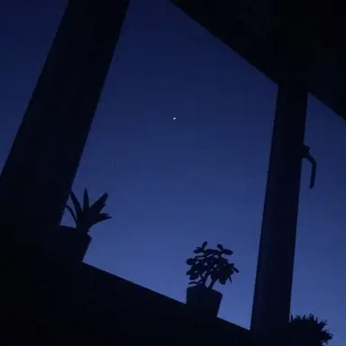 Profile image of 덕개