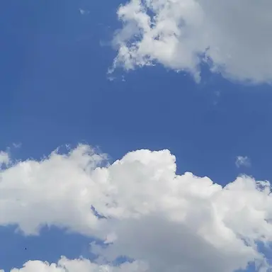 Profile image of 라더