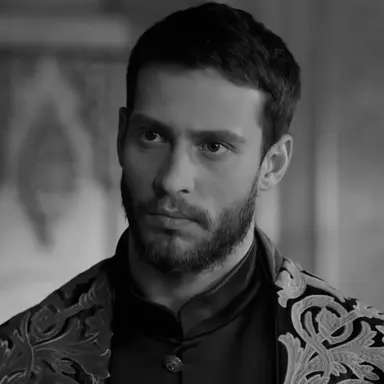Profile image of Ahmed Sultan