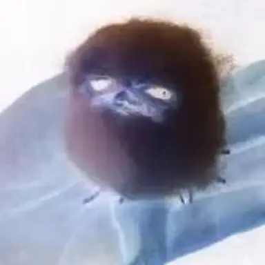 Profile image of ㅔㅍㅔㅍ