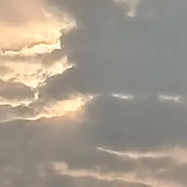 Profile image of 장하오