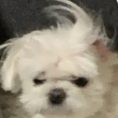 Profile image of 여주