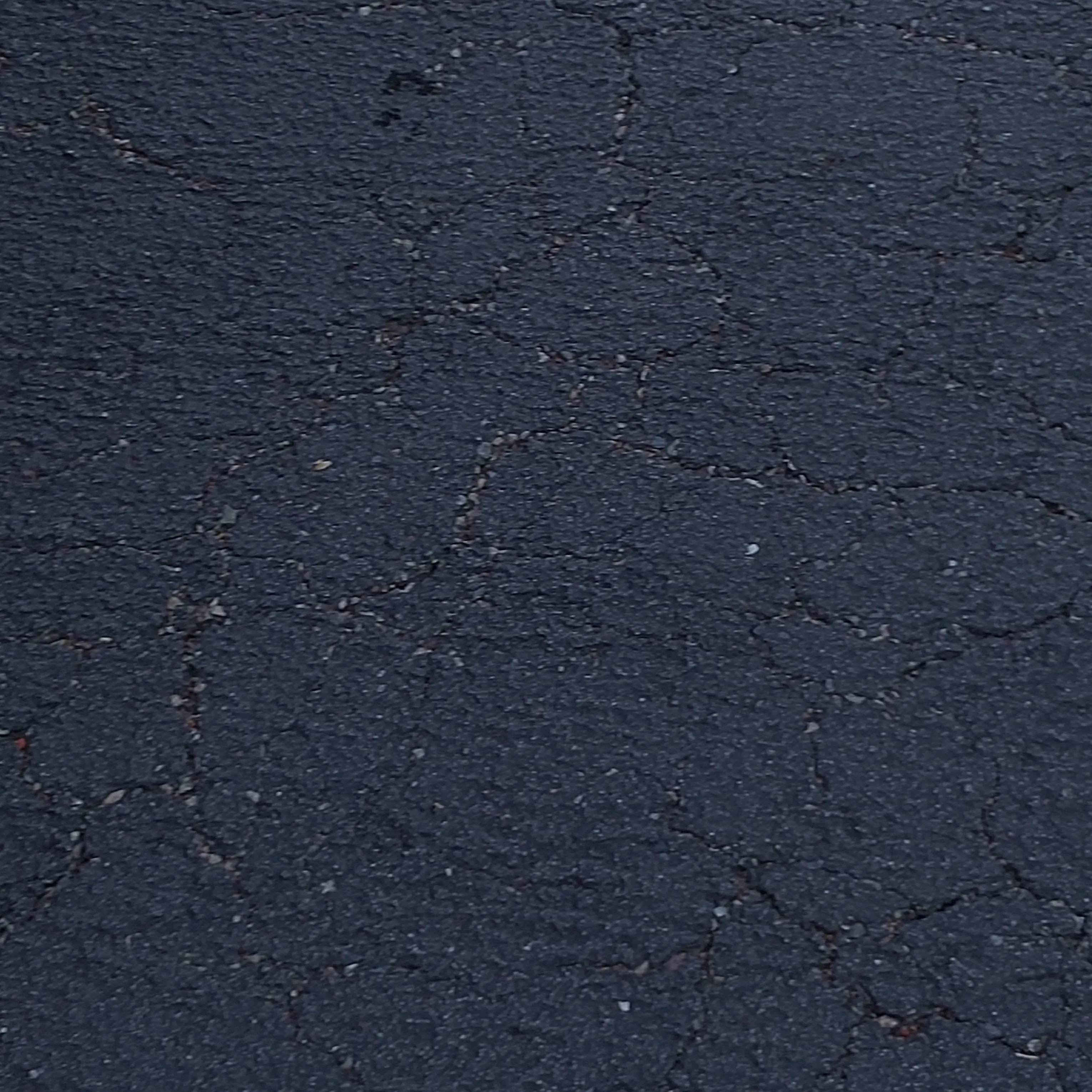 ProneHarp3519의 개노답 2학년2반 고고프렌즈