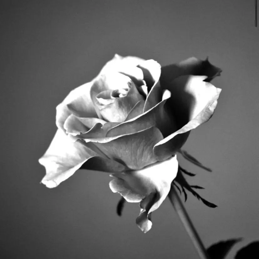 hoku.6.18.의 たいようみたいなあなたは