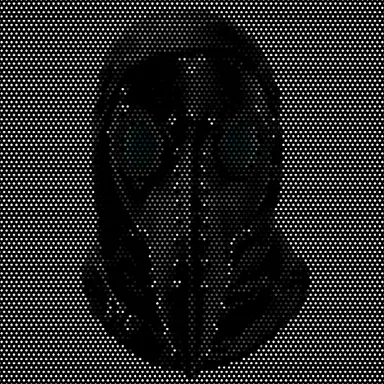 Profile image of カイル