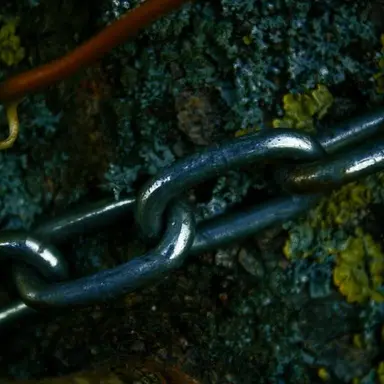 Profile image of 박승건