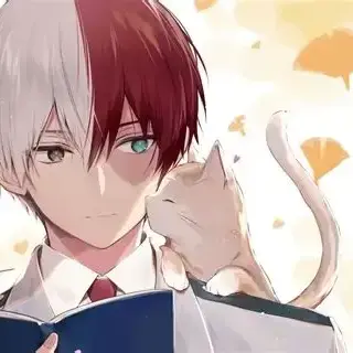 Profile image of Shoto Todoroki