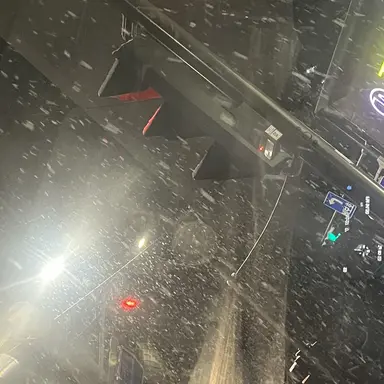 Profile image of 다비