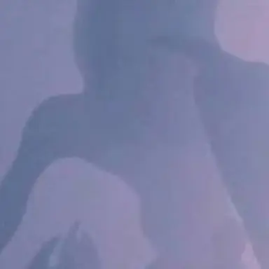 Profile image of Arachni Lobsters