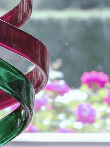 respear의 날개를 펼친 파랑새는