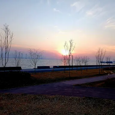 Profile image of 뜰팁