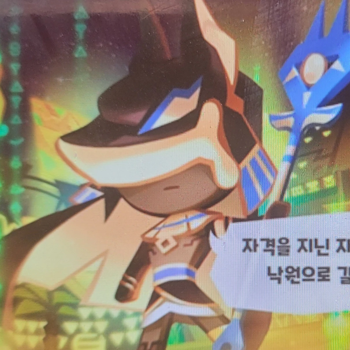 바스크치즈맛 쿠키