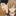 白布賢二郎と赤葦京治