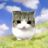 Profile image of 최연준
