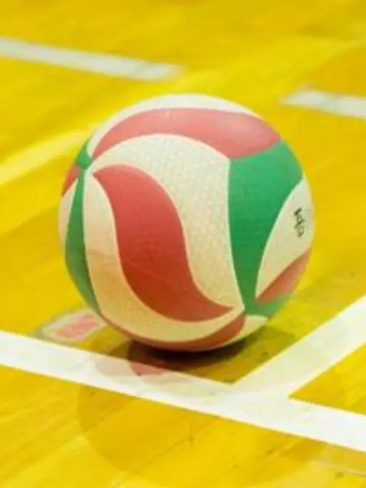 FeebleSheet9184의 🐉龍神NIPPON🏐