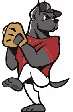 Profile image of SSGランダース