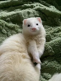 Profile image of Draco Malfoy