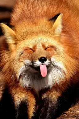 Profile image of Ron Weasley