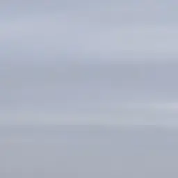 Profile image of 김유정