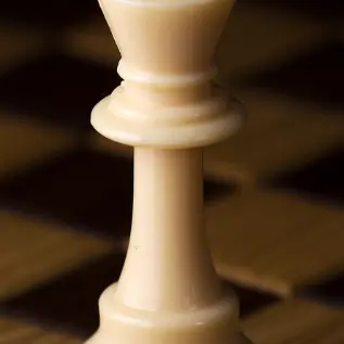 Profile image of The king