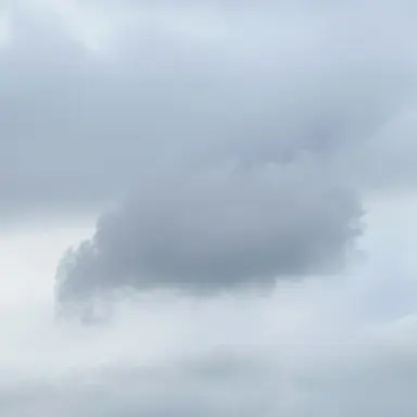 Profile image of 仙蔵