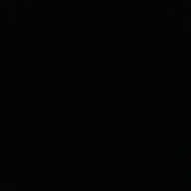 Profile image of 파이브