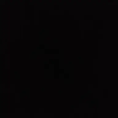 Profile image of 서라더