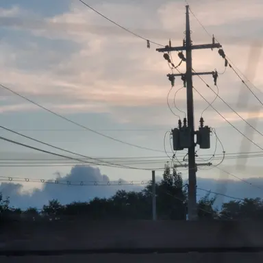 Profile image of 아기가된 오비스트들