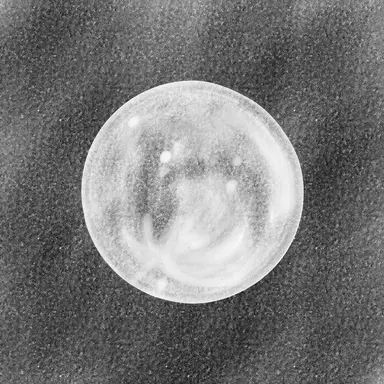 Profile image of 리무스 루핀