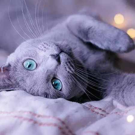 FutureSlug8490의 こっちを向いてよ！