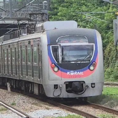 Profile image of 1차선 뱀눈이